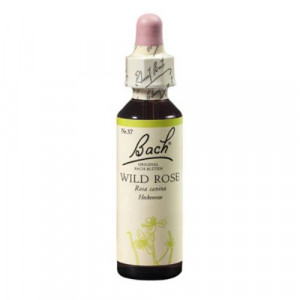Produktbild von BACHBL&Uuml;TEN Wild Rose Tropfen