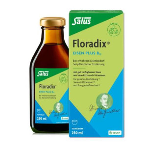 Produktbild von FLORADIX Eisen plus B12 vegan Tonikum